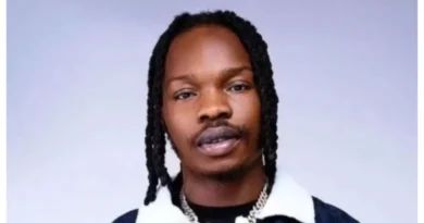 Fan storms stage, attacks Naira Marley in Cotonou